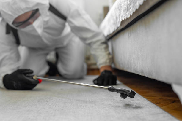 Professional Bed Bug Control technician working in Deerwood, TX