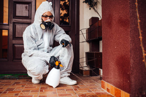 Reliable Bed Bug Control contractor in Deerwood, TX by Nex Pest Control